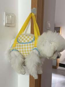 Convenient Pet Crossbody Bag Dog Head Exposure Four Legs Outdoor Small Dog Portable Shoulder Bag with Leash Chest Strap