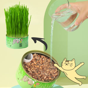 Canned Cat Grass Kit Pet Grass Hydroponic Plant Promote Hair Removal Ball Pet Supplies