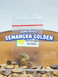 Benih Semangka Golden Unggulan kuning berkualitas biji bibit tanaman buah hydroponik hidroponik
