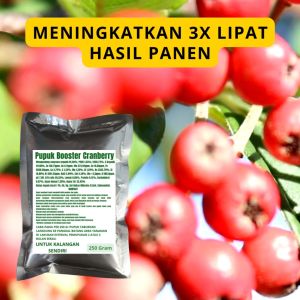 Pupuk Booster Cranberry: Cara Menggunakan & Manfaatnya