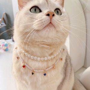 DY Loving ไข่มุกเพชรส่องประกายสองชั้นสร้อยคอแมวสำหรับสัตว์เลี้ยงสุนัขและสุนัขสร้อยคอแบบหรูเจ้าหญิงที่สง่างาม
