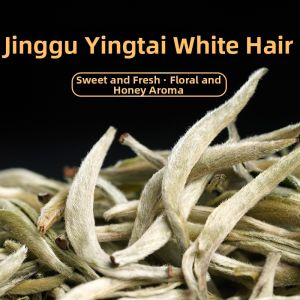 FANGXINYUAN | Early Spring Handpicked Silver Needle Pu-erh Tea Ancient Tree
