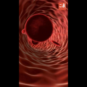 一心康™ 养心宝 姜蒜蜜苹果醋柠檬汁 (1瓶 700ml)  Ginger Garlic Lemon Apple Cider Honey Beverage Juice (1 bottle 700ml)