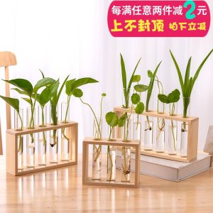 Modern Simplicity Glass Flower Vase Hydroponics Plant Container Desktop Decoration Greenery Display Wooden Stand Home Decor