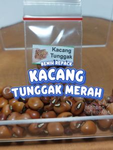 Benih Kacang Tunggak Merah Unggulan Berkualitas biji bibit repack sayuran sayur panjang tolo hidroponik hydroponik tanaman pot