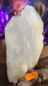 Bụi 3 tinh thể đá Thạch Anh Lemurian dính liền tự nhiên năng lượng chất nhọn vũ trụ mã 547