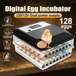SIEMEN Large capacity dual power automatic incubator with constant temperature and control humidity and temperature