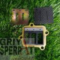 MEMBRAN F1ZR F1Z R FIZR CARBON KARBON ORIGINAL. 