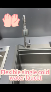 Kitchen faucet 304 Stainless Steel Kitchen Faucet Sink Universal Sprayer Flexible Single Cold Washing Tap