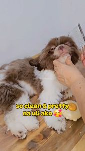 Luscious Gentle Paws Hypoallergenic Pet Wipes Grooming Wipes for Dogs & Cats Alcohol free