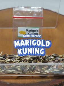 Benih Bunga Marigold Kuning biji keriting hijau bibit hydroponik hidroponik sayuran sayur marigol tanaman hias