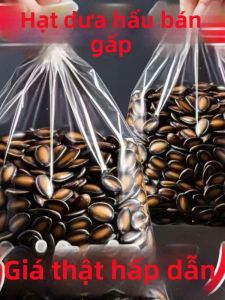 Hạt hướng dương ngũ vị lớn đóng gói