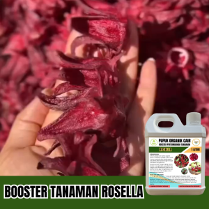 Pupuk Hormon Rosella Agar Cepat Berbunga Dan Tumbuh Besar Mengurangi Kerontokan Bunga Anti Hama