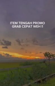 Kingkong Japan Original Ginseng Rusa Jepun Shengquilujiaowan Japans No.1 health enhancing 1 product Health Care For Men