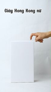 Giày bít nữ (35-39)