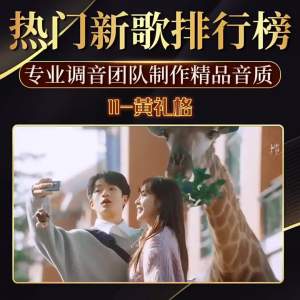 TF内存卡】网络流行歌曲伤感情歌听歌音乐mp3插卡手机音响收音机【 TF Memory Card 】 Classic Sad Love Songs DJ Mobile Music Listening MP3 Storage Card Speaker Universal