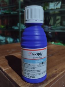 Insektisida Incipio 200SC 100ml Sygenta Original