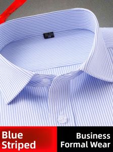 Blue Striped Mens Shirt Short Sleeve Business Formal Cotton Shirt Iron-Free White Large Size Summer Business Gentlemans Shirt
