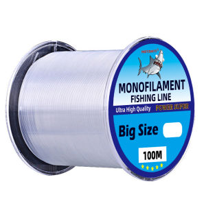 100m Big Game Fishing Line 0.6/0.7/0.8/0.9/1.0mm Monofilament Sea Fishing Nylon Big Size Super Strong Thickness Fishing Lines