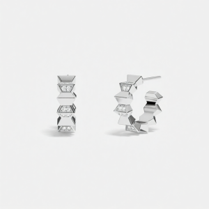 Wave Design Circular Small Earrings