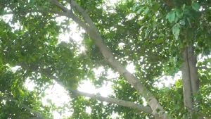 Quạt Hơi Lạnh Nước Di Động CLEAN AIR 🔰Phụ Kiện Thuận Lợi🔰