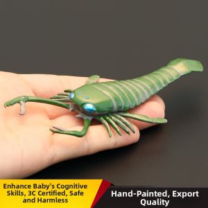 MENGSILE | Realistic Prehistoric Board-footed Horseshoe Crab Animal Model