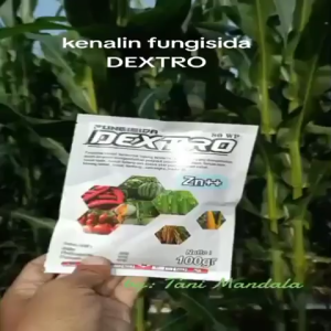 Fungisida DEXTRO 100gr Obat Busuk Batang Antraknosa Petek Jamur Trotol Cabe Melon Semangka Antracol Benzoat Sulfur Klorotalonil Benlox  Amistartop Remazole Detacide Sulvo Koge Benzoate Cabrio Top Cabrio