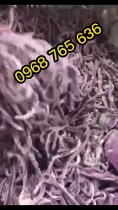 Máy cắt sợi thạch sợi chè sợi trân châu chạy điện đa năng siêu tiện lợi