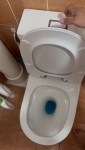 Baron x sgPlumbMart Toilet Bowl W818/W888/W898 One Piece WC Tornado Rimless flush Geberit fittings WC 818 888 898 3 Ticks