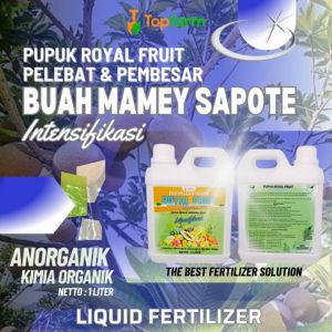 Pupuk Khusus Mamey Sapote & Pupuk Booster Tanaman Buah
