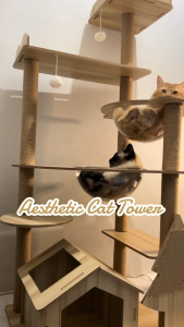 Cat Condo Mainan Rumah Kucing Cat Tower Premium Rumah Kucing Cat Rumah Villa Kandang Kucing Large