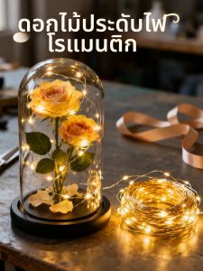 BEAUTY IN THE LIGHT | DIY Gift and Ambiance Decoration LED Light String