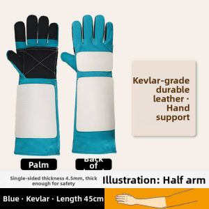 TAODUN | Bite-Resistant Training Gloves Leather
