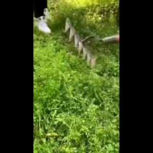 Nexlent Durable Steel Hardened Handheld Weeding Tool Shovel Rake and Digging Hoe for Gardening