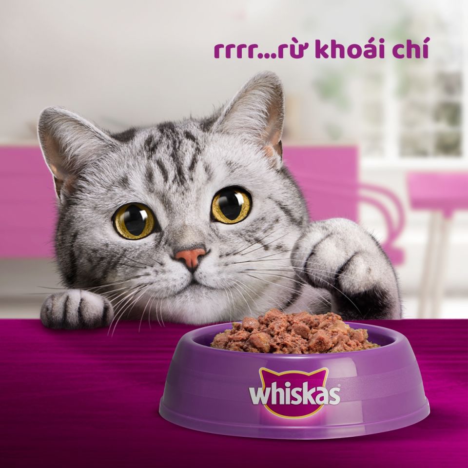 [Quà tặng không bán] WHISKAS Pate Nhiều Cá Cho Mèo Lớn 70g