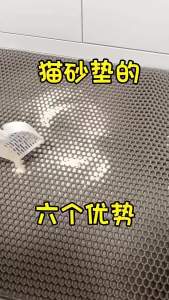 Cat Litter Mat 2-Layer Design Premium Sand Trapping Technology Waterproof Base Non-Slip Pet Floor Protector for Indoor Kittens