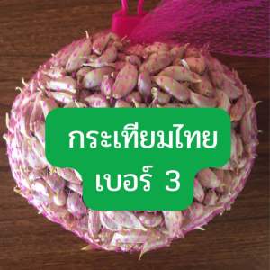 กระเทียมไทยแกะกลีบเบอร์ 3  1 กก