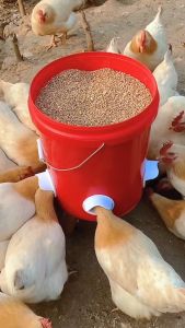 Đầu ống ăn cho gà ngan vịt