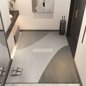 Luxury Minimalist Entrance Carpet