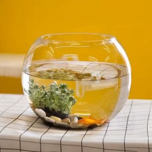 Hồ Cá Thuỷ Tinh Tròn Bầu 20 x 14 Cm T11 Tặng Kèm Sỏi Và Rong Trang Trí