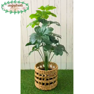 Pohon Artificial Pohon Hias Daun Walisongo X12 Semi Latex Cover Eceng Gondok Motif Pajangan Sudut Kantor Sudut Ruang Tamu