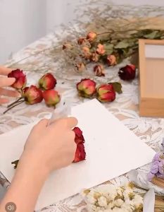 SG Stock Hollow 3cm Glass Shadow Box 3D Photo Frams for Dry Flowers Speicmen DIY Photo Frame House Decoration