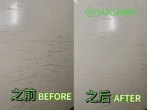 sugawa water crystal 多功能水纯晶 dishwasher