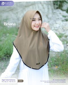 BRIANA Daffi Hijab (Chat Untuk Warna Ready) Terbaru Jilbab Instan
