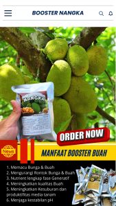 Booster Tanaman Nangka / Pupuk Booster Hayati Khusus Tanaman Nangka
