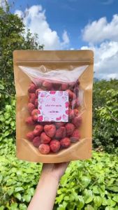 Dâu Tây Sấy Giòn/ Dâu Tây Sấy Thăng Hoa - Moony Farm Đà Lạt