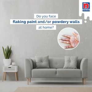 Nippon Paint Durable Interior & Exterior Paint Solution No More Chalk - 5Kg