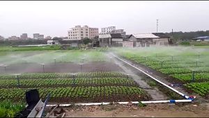 Malaysia Ready Stock Yard Garden Gas Sprinkler Head Water Lawn Irrigation Cooling Spray System thread sprinklers lawn watering MY Agriculture Adjustable Flow Nozzles Dripper Siram Pokok Sayur Kebun 1/2”/PVC/4分喷头