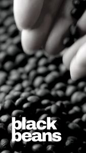 Black Beans Black Sitao Beans (wholesale pack)