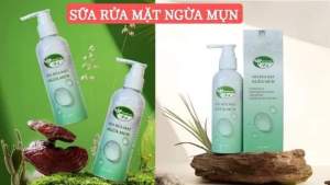 sữA rửa mặt ngừa mụn  giảm thâm sẹo hiệu quả thảo mộc xanh chính hãng loại bỏ bã nhờn  bụi bẩn